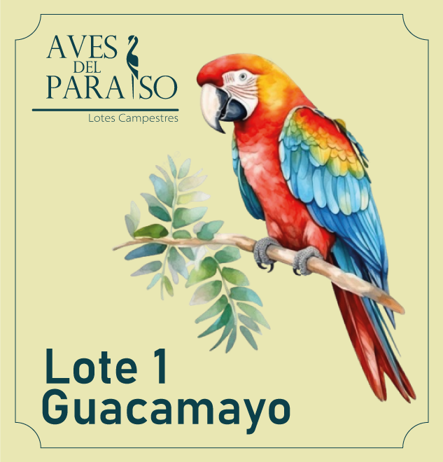 Lote Guacamayo