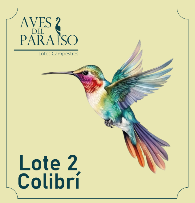 Lote Colibrí