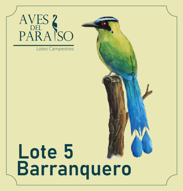 Lote Barranquero